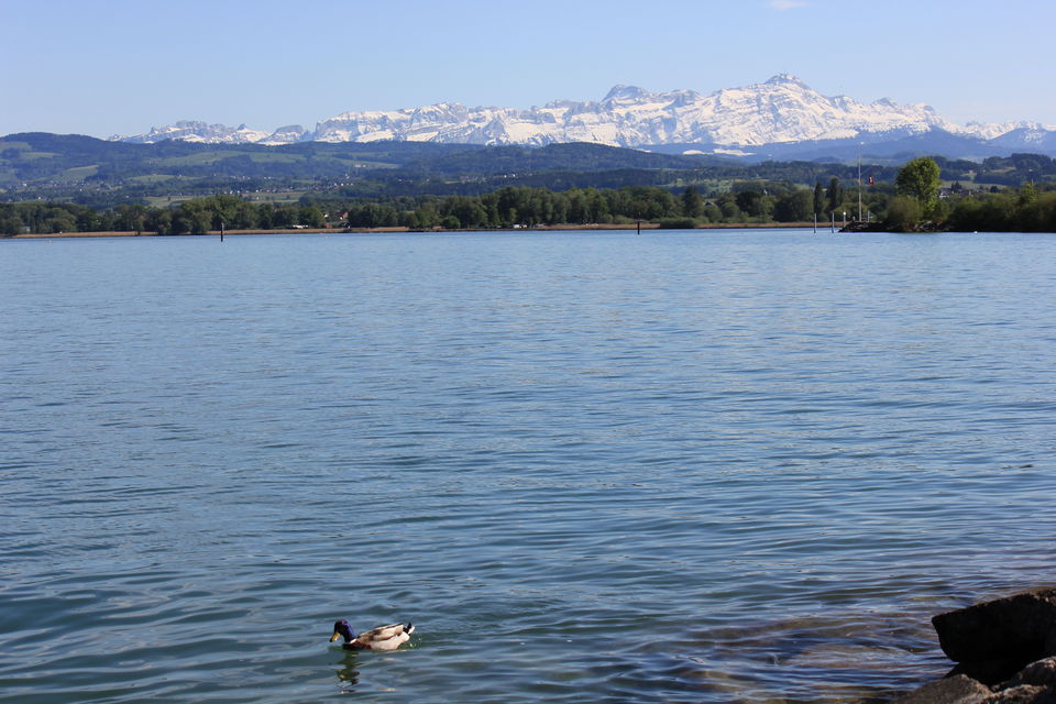 Photo of Biking Bodensee Circuit (Thurgau Cantonment) 54/70 by Amit
