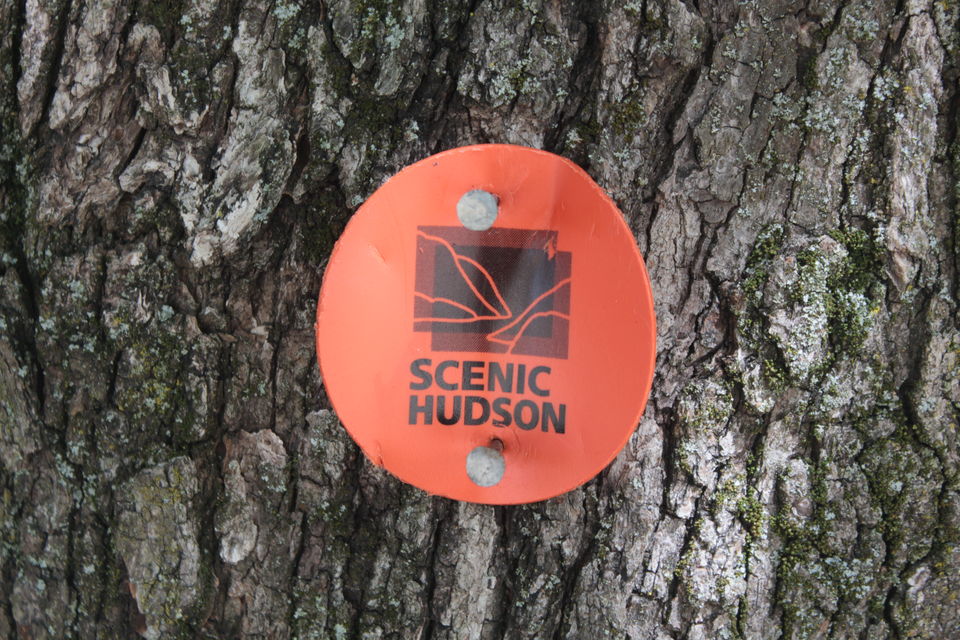 Photo of Hudson Valley Hiking 13/44 by Amit