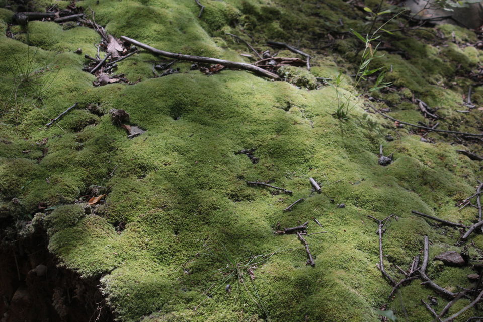 Photo of Hudson Valley Hiking 14/44 by Amit