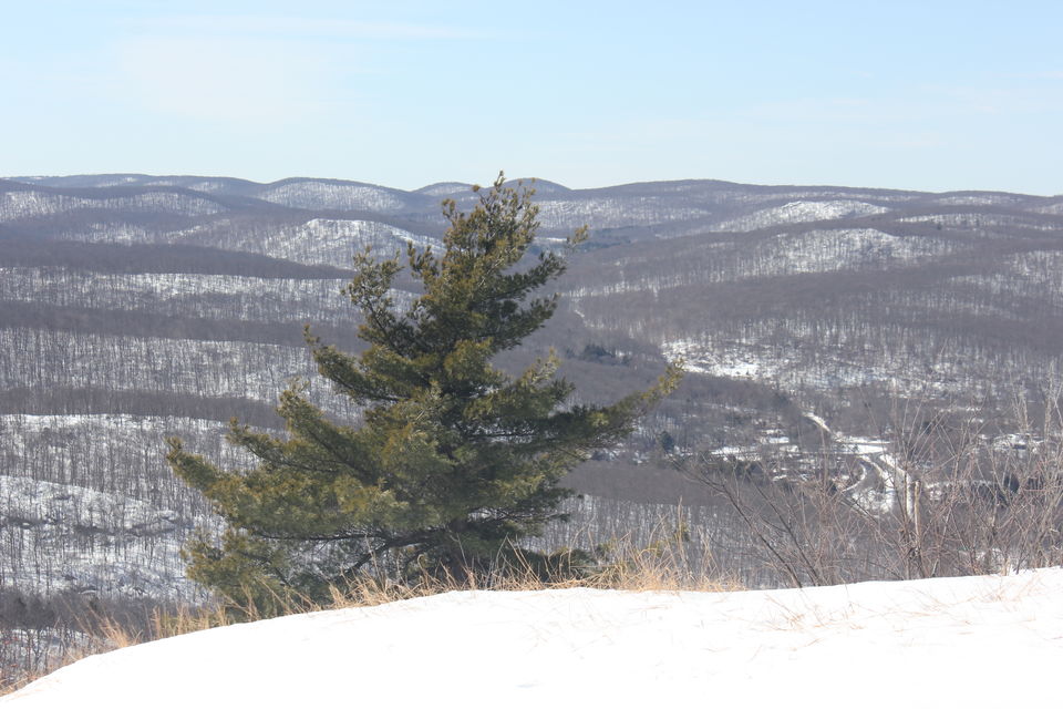 Photo of Hudson Valley Hiking 32/44 by Amit