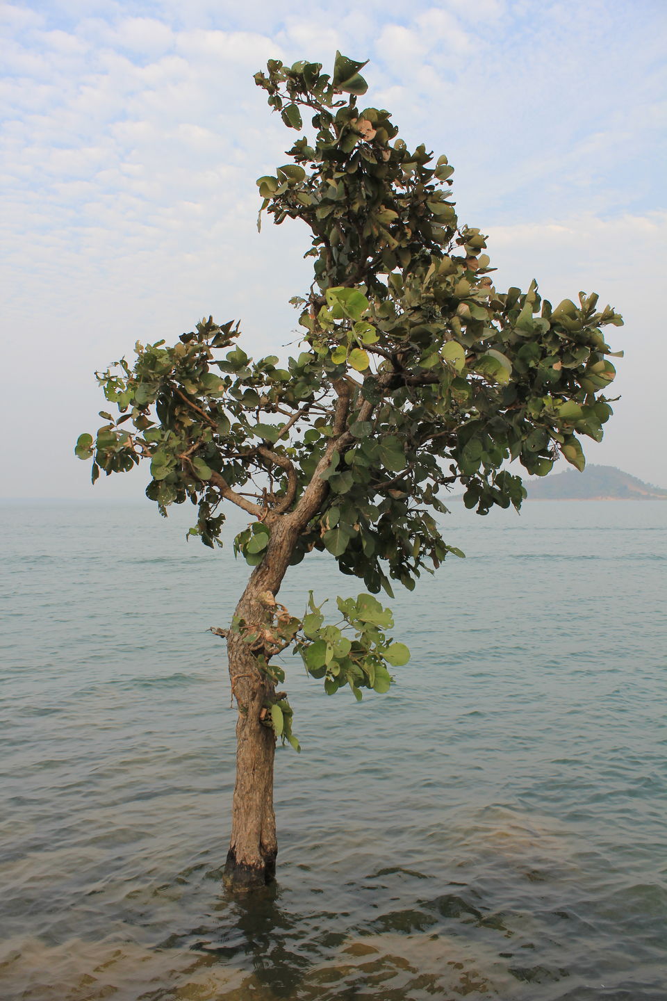 Photo of Maithan - a feeling, a nostalgia. 49/68 by Amit