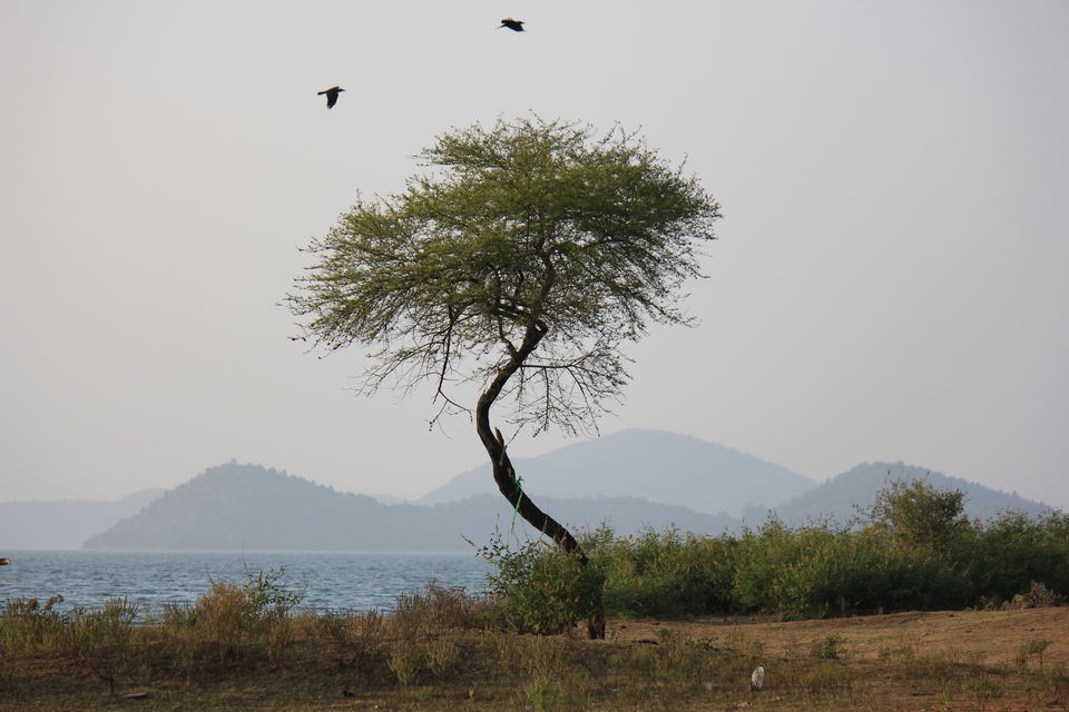 Photo of Maithan - a feeling, a nostalgia. 55/68 by Amit