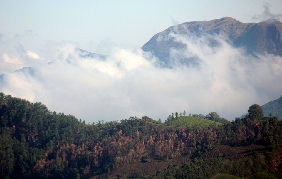 Photo of Visiting God's own country 16/52 by Amit