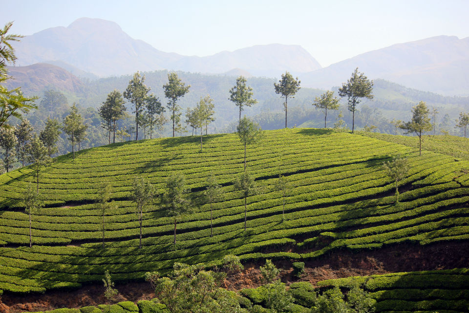 Photo of Visiting God's own country by Amit