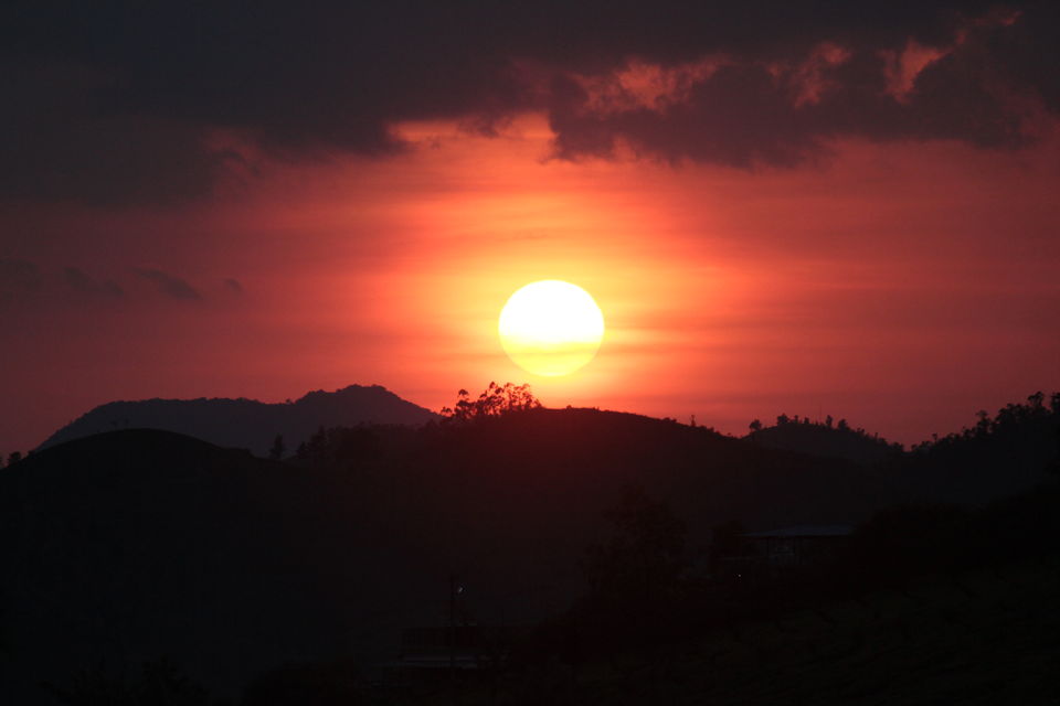Photo of Visiting God's own country 23/52 by Amit