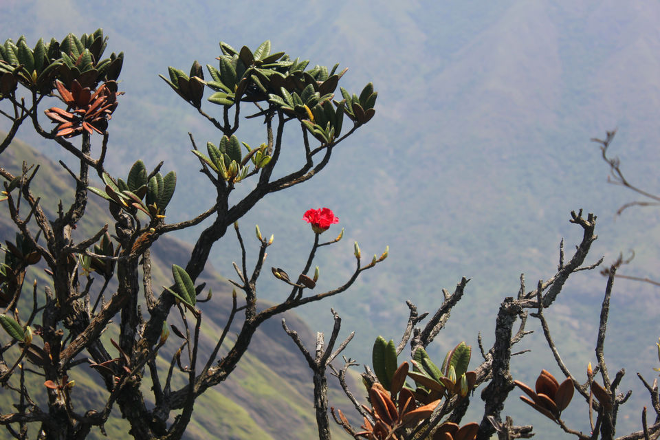 Photo of Visiting God's own country 29/52 by Amit