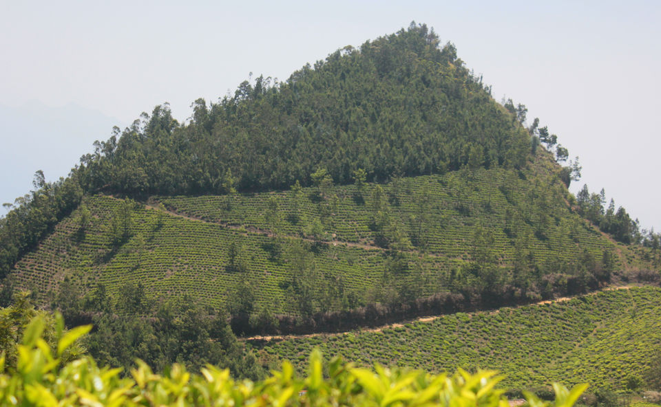 Photo of Visiting God's own country 30/52 by Amit