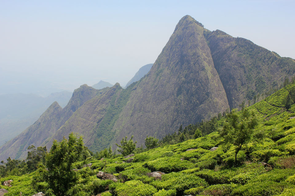 Photo of Visiting God's own country 31/52 by Amit