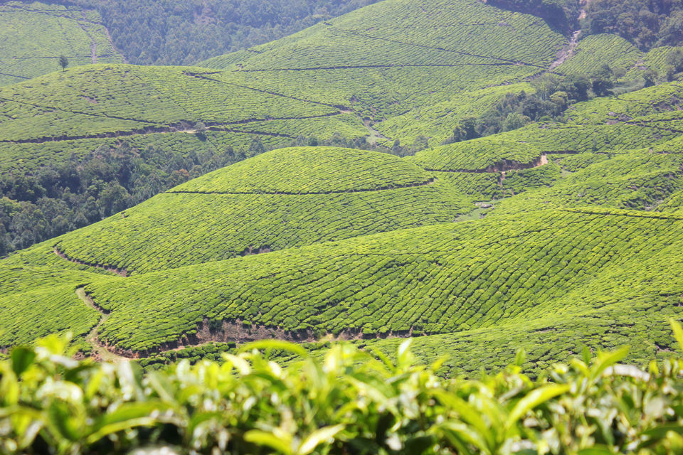Photo of Visiting God's own country 32/52 by Amit