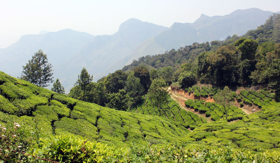 Photo of Visiting God's own country 39/52 by Amit