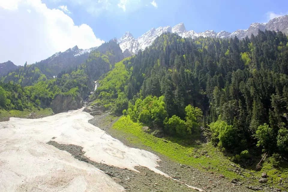 Photo of Dal Lake, Srinagar by Amit