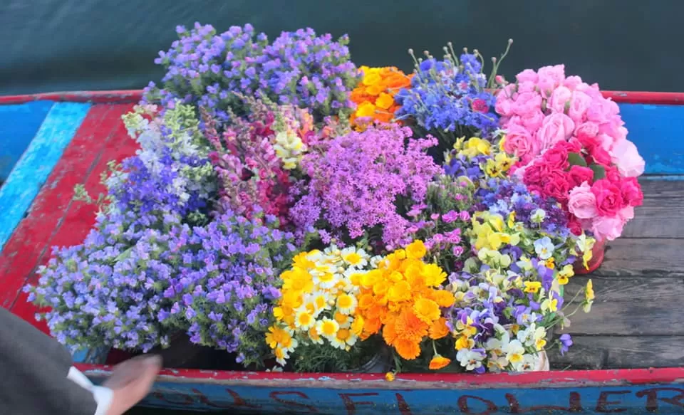 Photo of Dal Lake, Srinagar by Amit