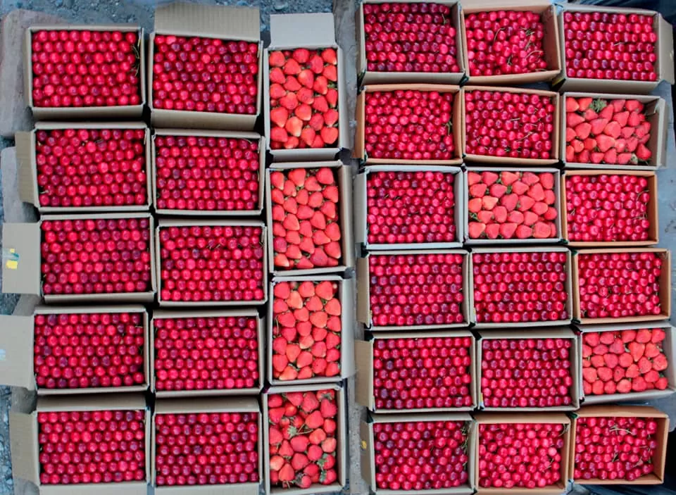 Photo of Anantnag by Amit