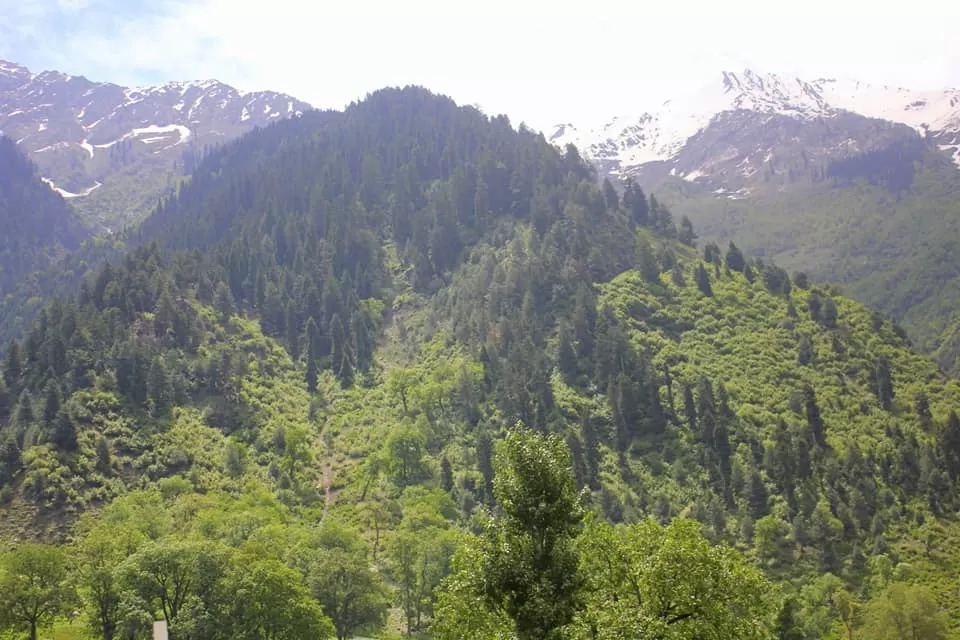 Photo of Dal Lake, Srinagar by Amit