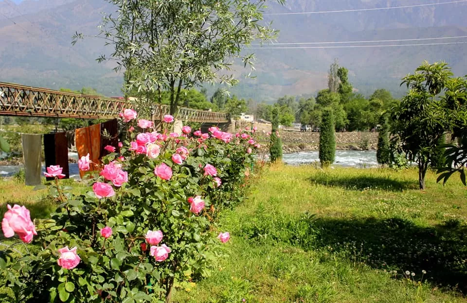 Photo of Dal Lake, Srinagar by Amit