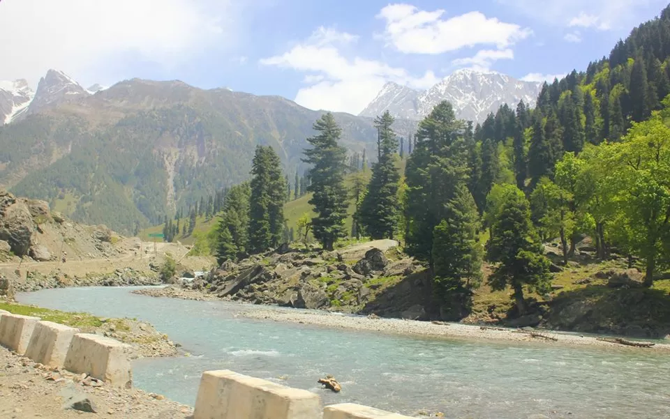 Photo of Dal Lake, Srinagar by Amit