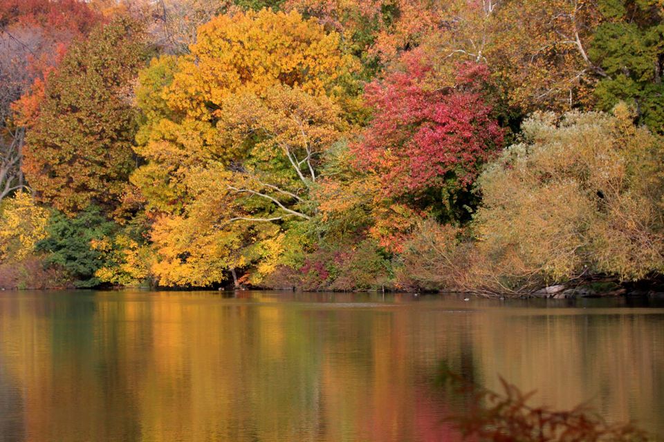 Fall foliage of New England - Tripoto