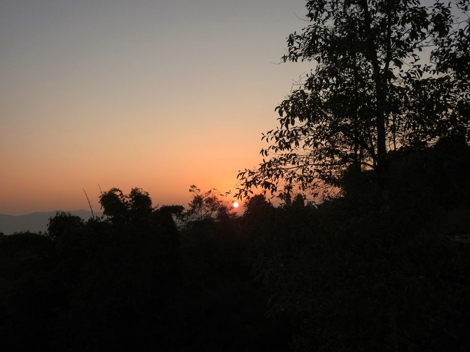Photo of A Twilight Saga! by Puja Mahajan