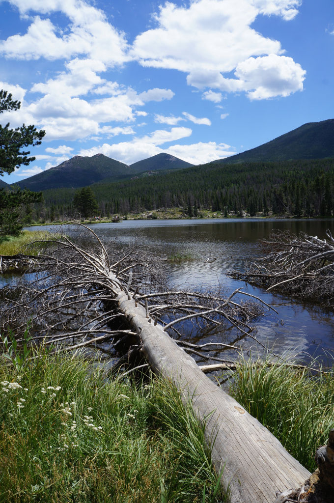 Photo of Rocky Mountain National Park, Colorado 3/8 by Mark-Anthony Villaflor