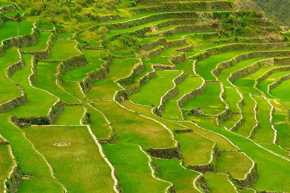 Photo of Why the Philippines is the most romantic honeymoon destination in the world 2/18 by Mark-Anthony Villaflor