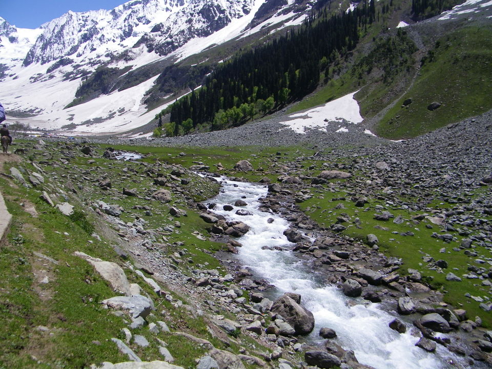 Photo of Kashmir: Jannat-e-Jahan 8/22 by Nabanita Roy