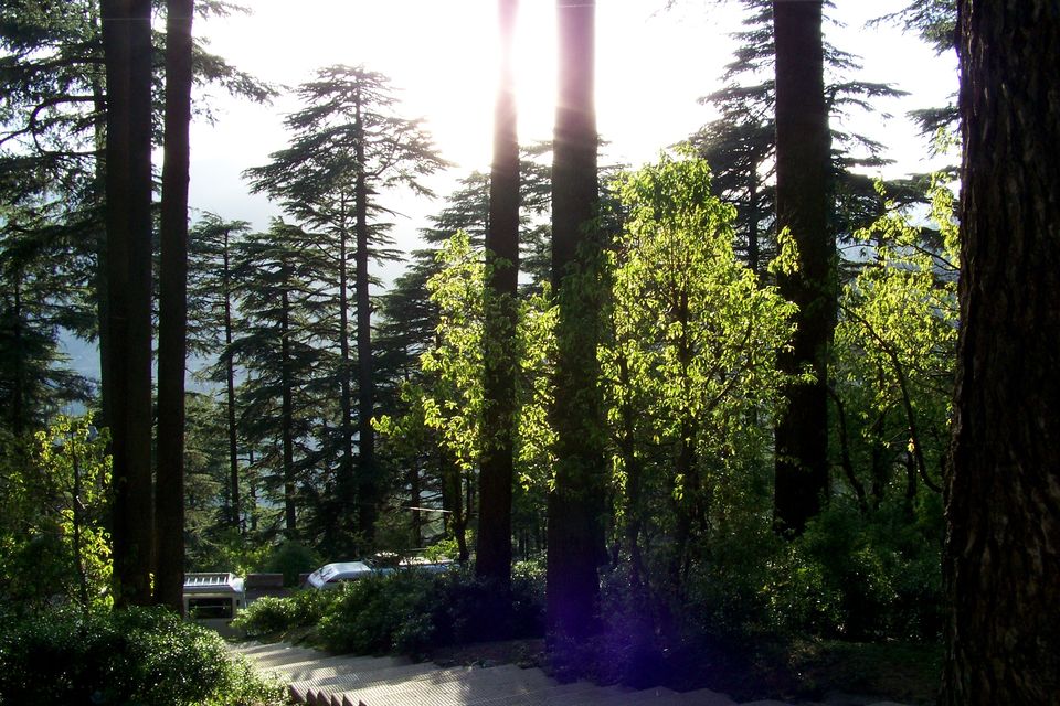 Photo of Kashmir: Jannat-e-Jahan 10/22 by Nabanita Roy