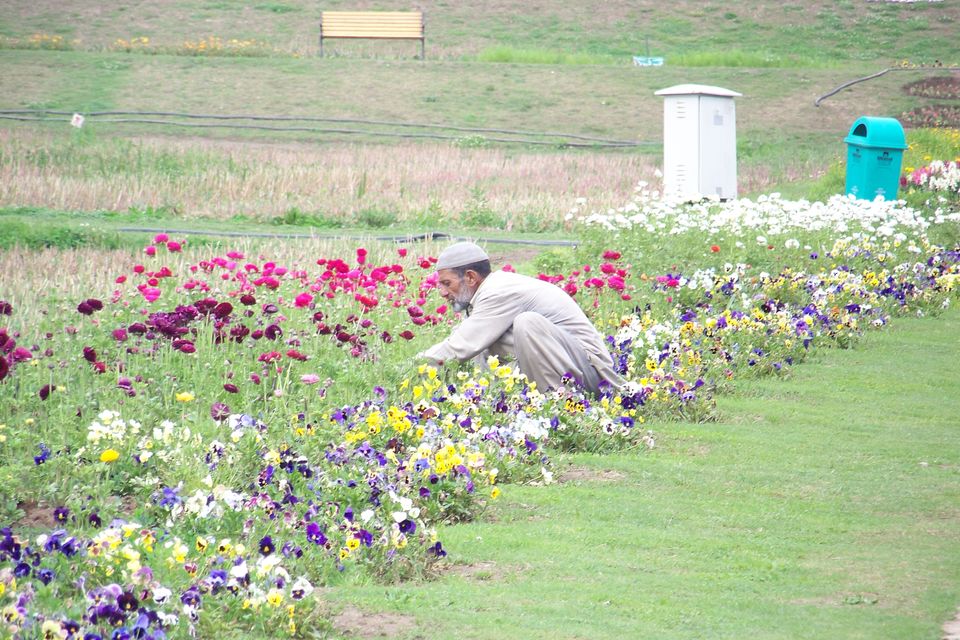 Photo of Kashmir: Jannat-e-Jahan 13/22 by Nabanita Roy