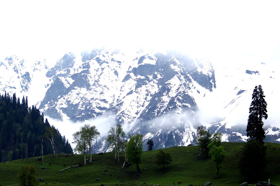 Photo of Kashmir: Jannat-e-Jahan 17/22 by Nabanita Roy
