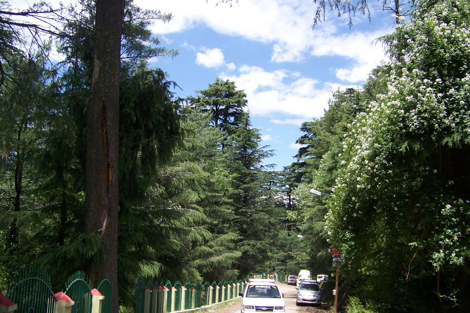 Photo of Kashmir: Jannat-e-Jahan 20/22 by Nabanita Roy