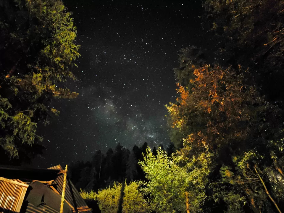 Photo of Jibhi Camps and Cottages by Vishal Sharma