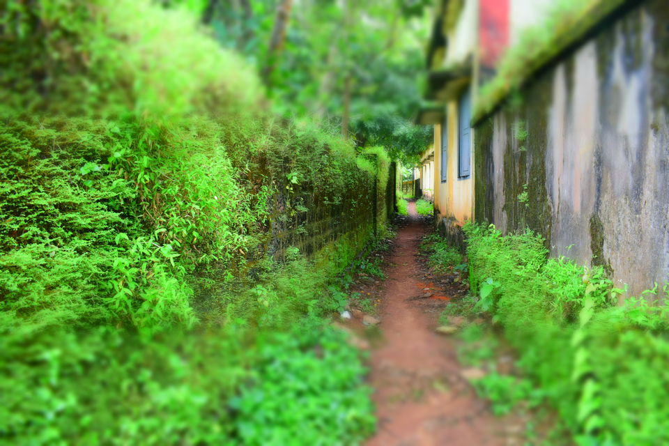 Photo of Bekal Fort, Bekal, Kerala, India by Anirudh Madiq