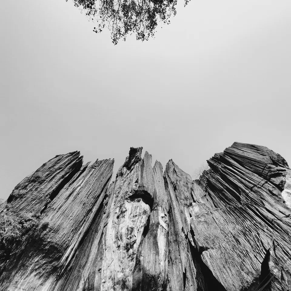 Photo of Yana Caves, Karnataka by Anirudh Madiq