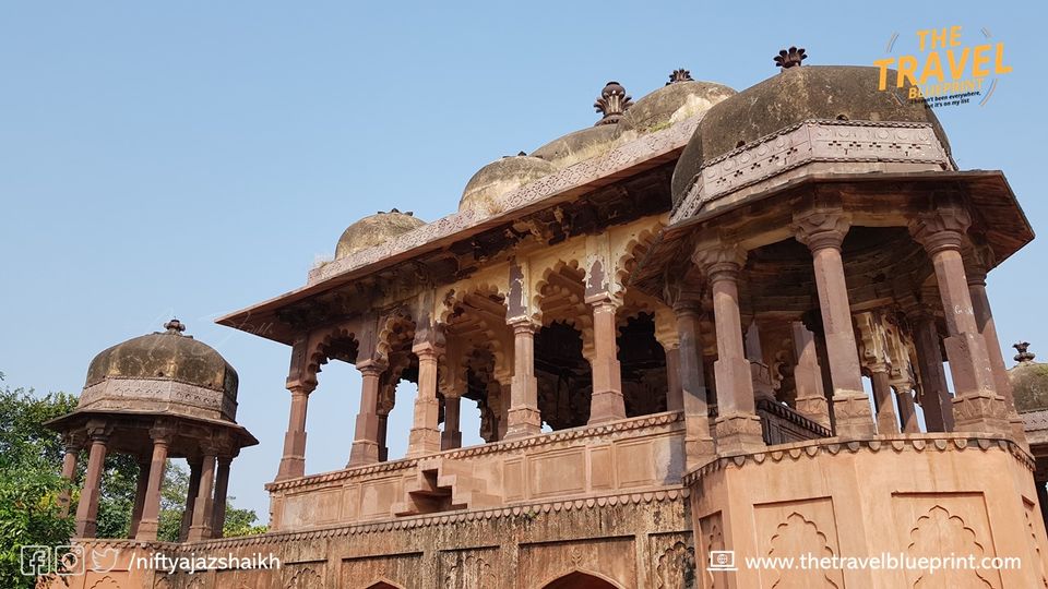 Photo of Weekend Getaway: Ranthambore National Park | Ranthambore Safari by The Travel Blueprint
