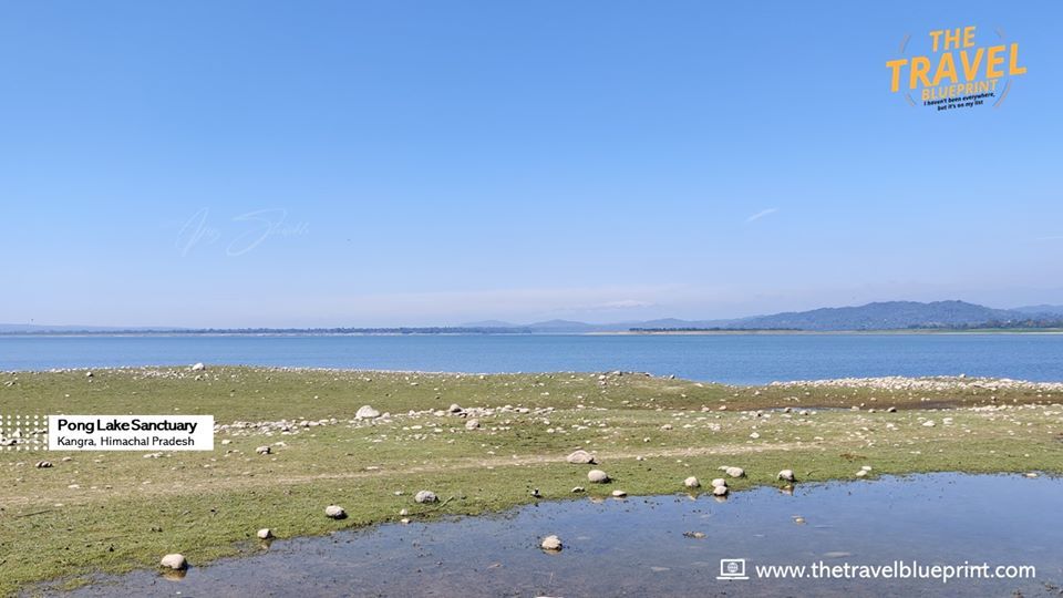 Photo of Pong Dam Lake, Himachal Pradesh by The Travel Blueprint