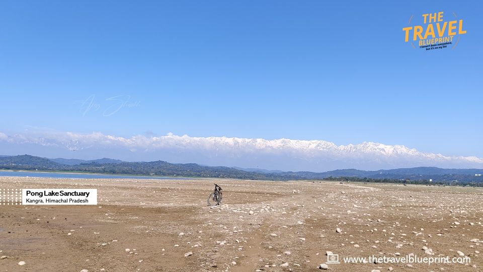 Photo of Pong Dam Lake, Himachal Pradesh by The Travel Blueprint