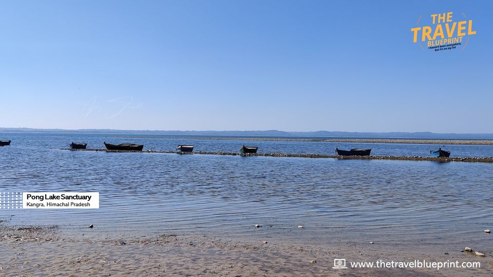 Photo of Pong Dam Lake, Himachal Pradesh by The Travel Blueprint