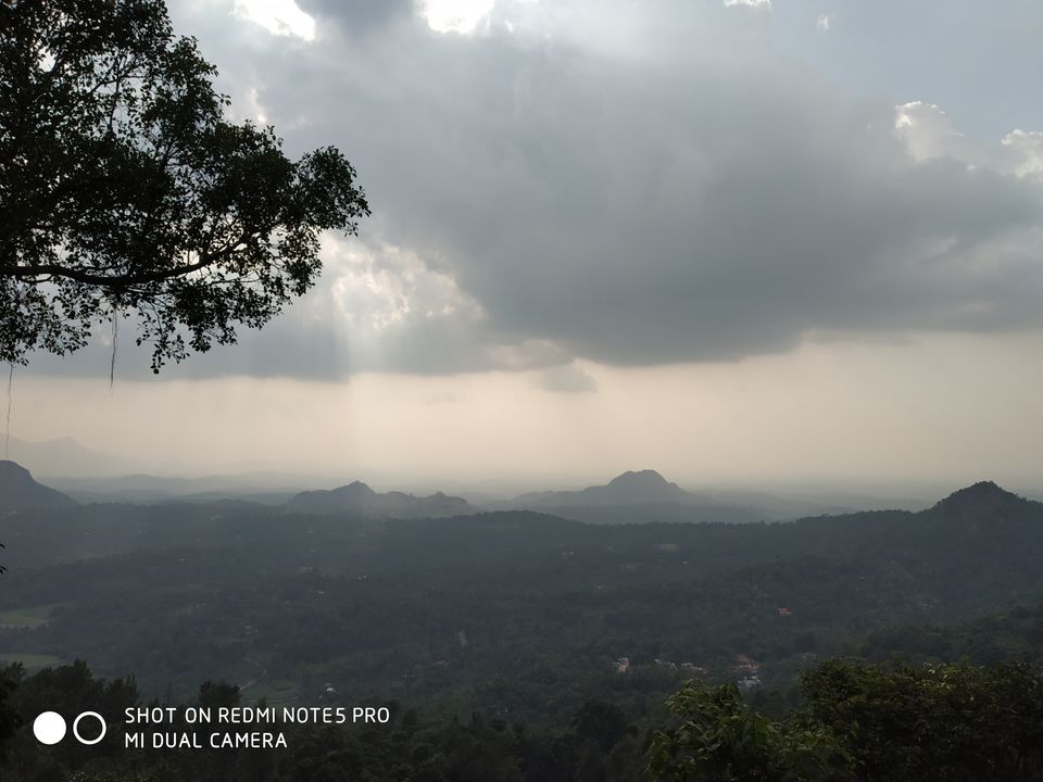 Photo of Wayanad, you beauty! 1/1 by Aditi Aggarwal