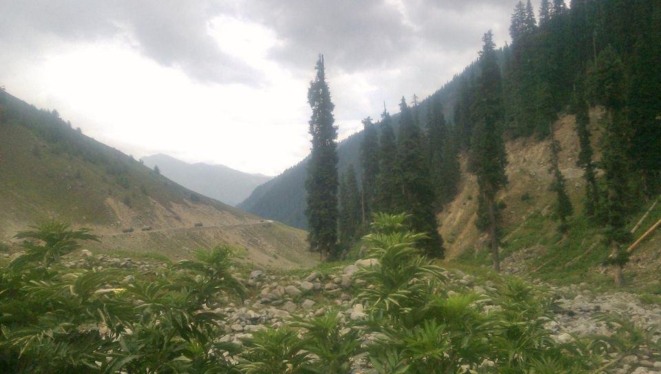 Photo of Gurez: The real beauty of Kashmir 5/7 by Wali Alam