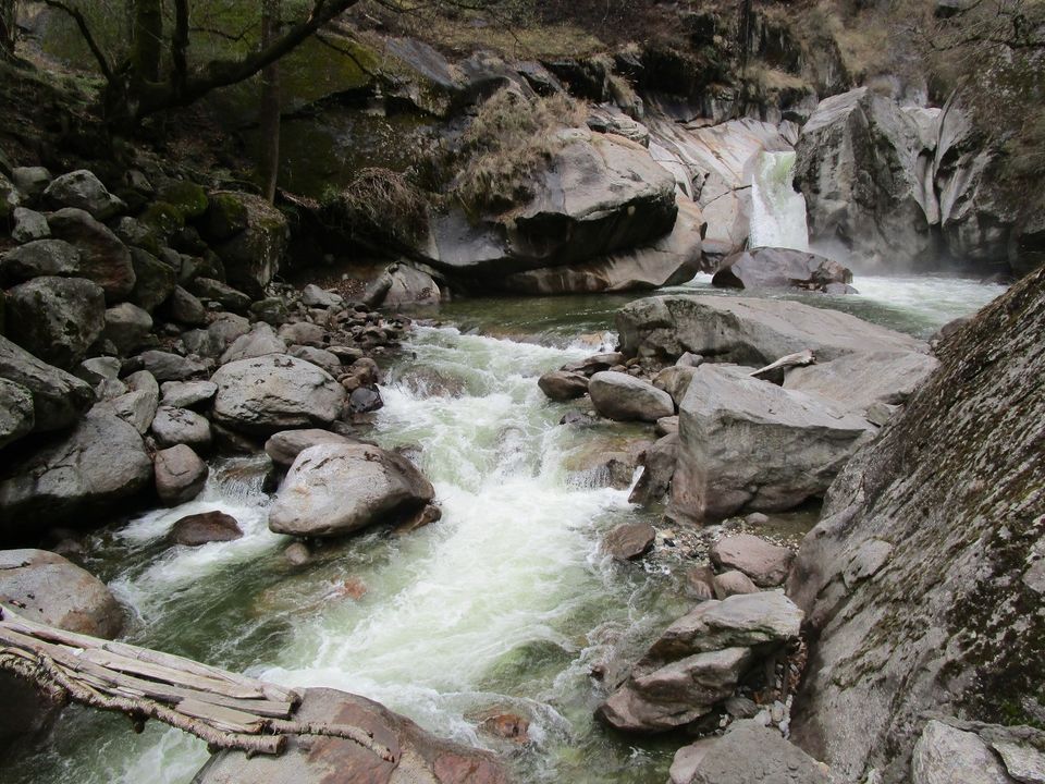 Photo of Trekking in Great Himalayan National Park, Forest Area 1/16 by Wali Alam