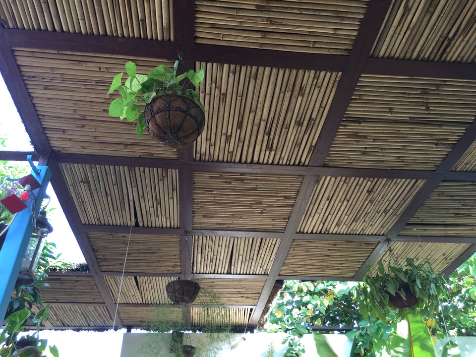 Photo of A Place In Lap Of Nature. #AccidentlyFoundSuchPlace by Ami Anant