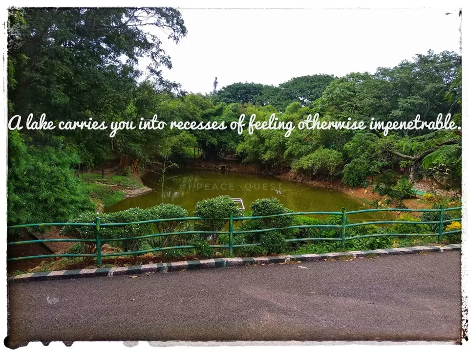 Photo of Lalbagh Botanical Garden, Mavalli, Bengaluru, Karnataka, India by Nisha Goswami