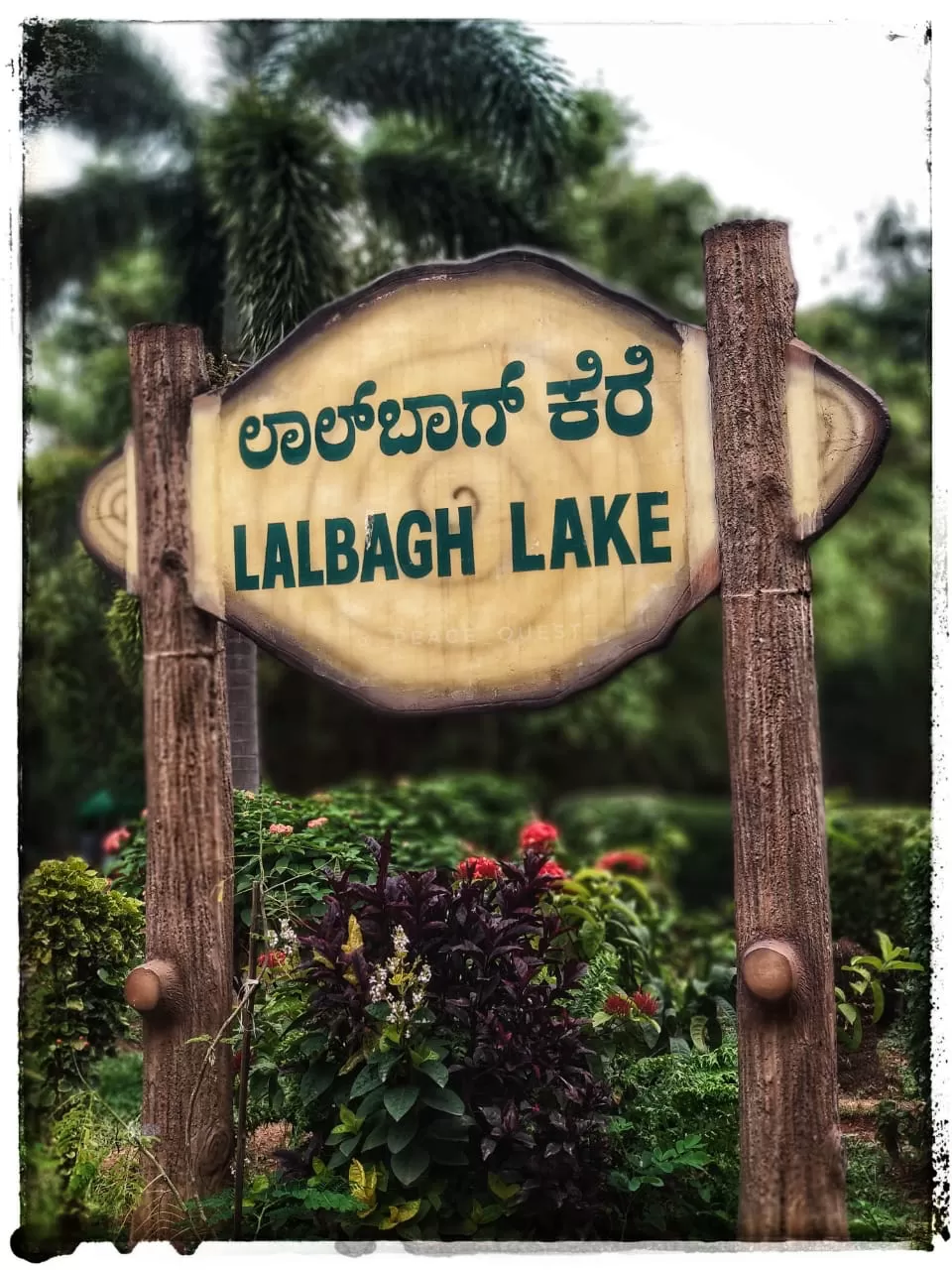 Photo of Lalbagh Botanical Garden, Mavalli, Bengaluru, Karnataka, India by Nisha Goswami