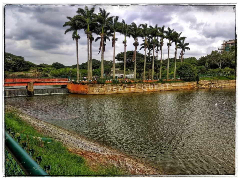 Photo of Lalbagh Botanical Garden, Mavalli, Bengaluru, Karnataka, India by Nisha Goswami