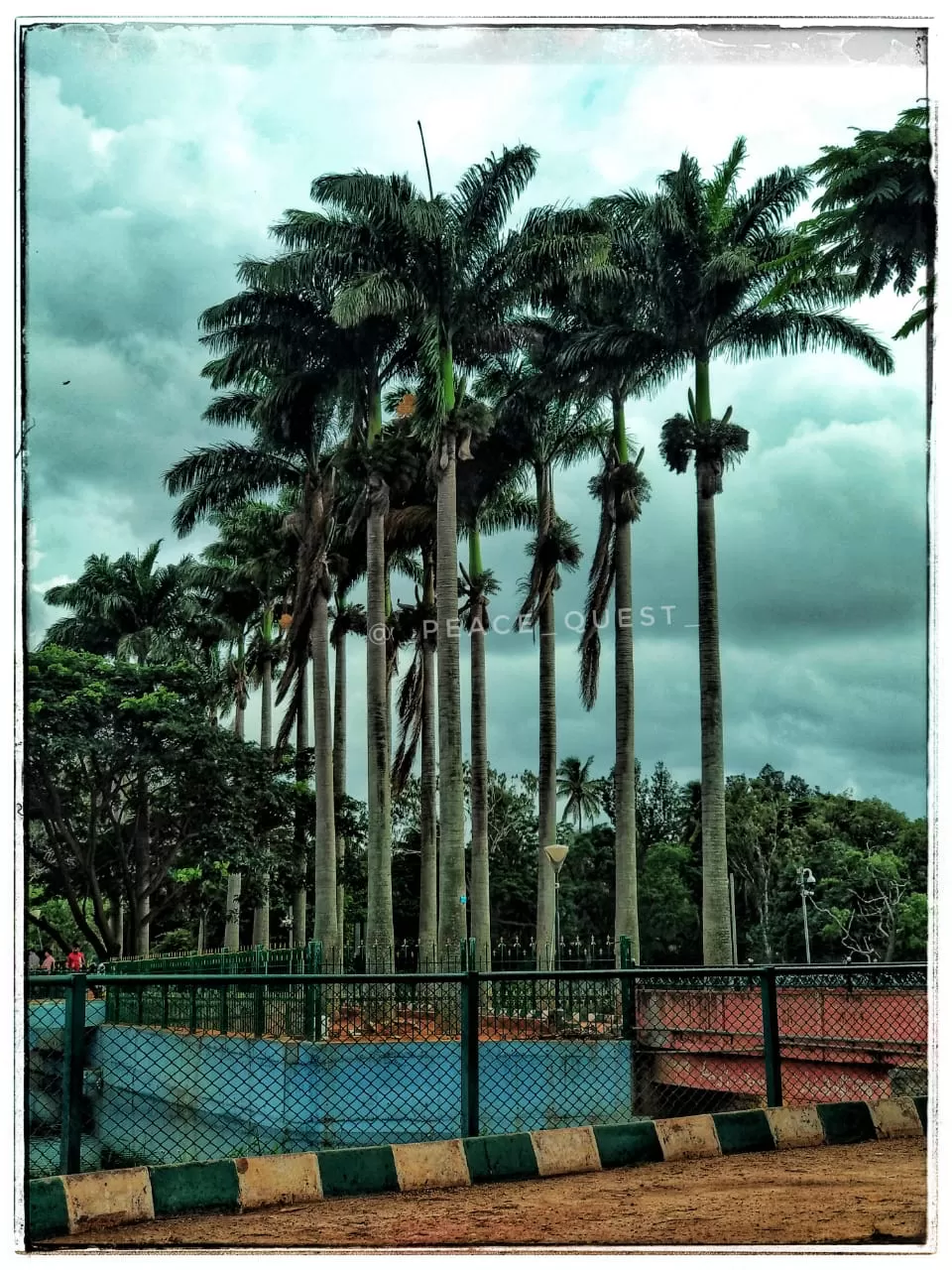 Photo of Lalbagh Botanical Garden, Mavalli, Bengaluru, Karnataka, India by Nisha Goswami
