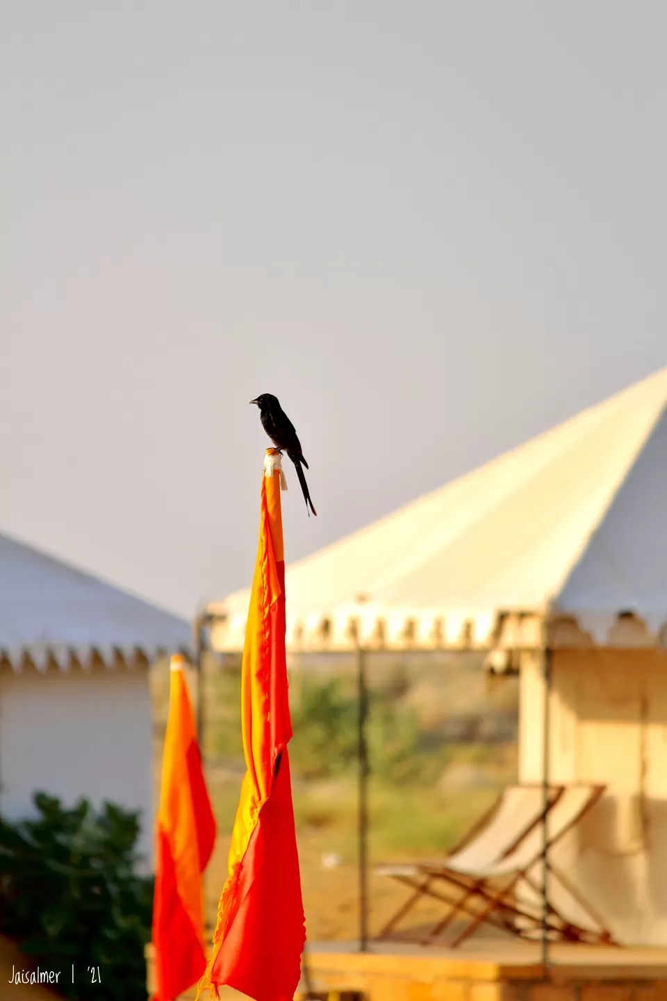 Photo of Jaisalmer - camping, dunes, history and more #TM2021 by Arin Goswami
