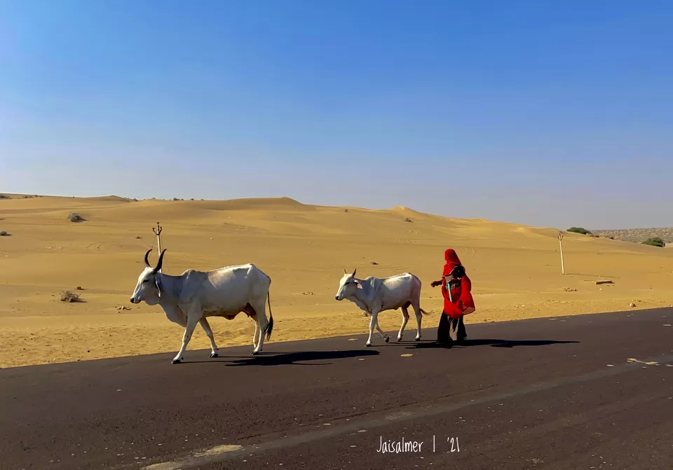 Photo of Jaisalmer - camping, dunes, history and more #TM2021 by Arin Goswami