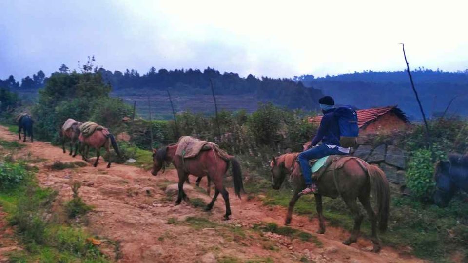 Photo of The Escape Route Trek; Exploring the wilderness of Western Ghats by Sarun Ravindran
