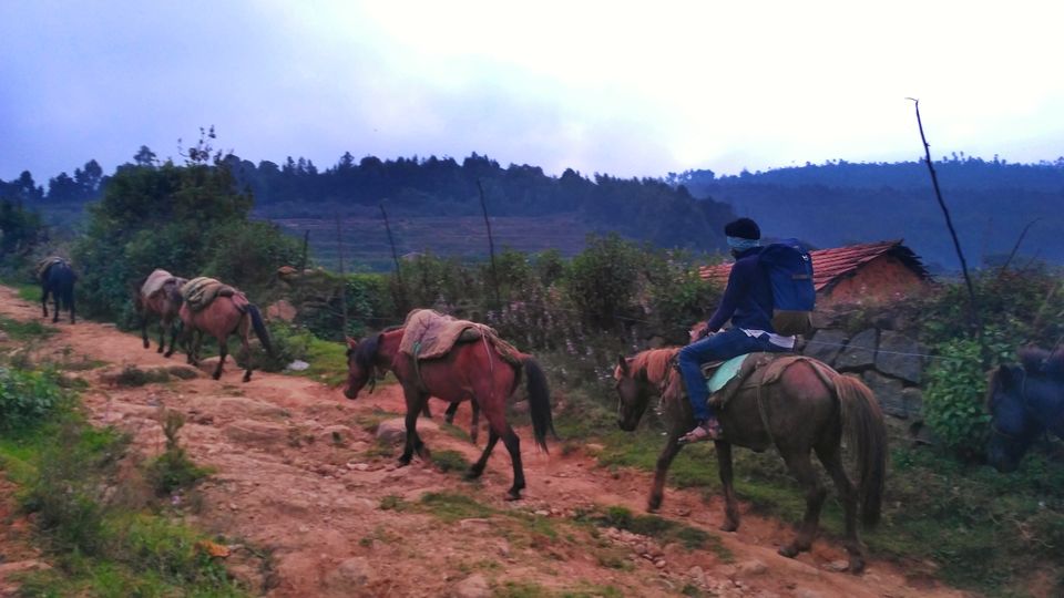 Photo of The Escape Route Trek; Exploring the wilderness of Western Ghats by Sarun Ravindran