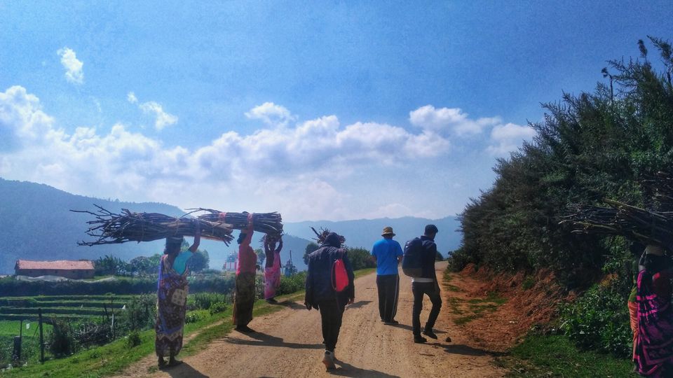 Photo of The Escape Route Trek; Exploring the wilderness of Western Ghats by Sarun Ravindran