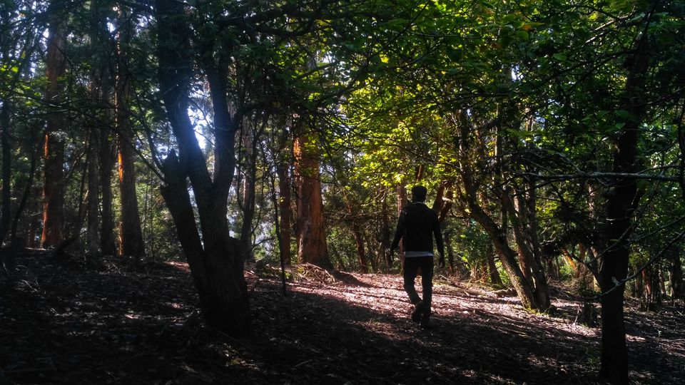 Photo of The Escape Route Trek; Exploring the wilderness of Western Ghats by Sarun Ravindran